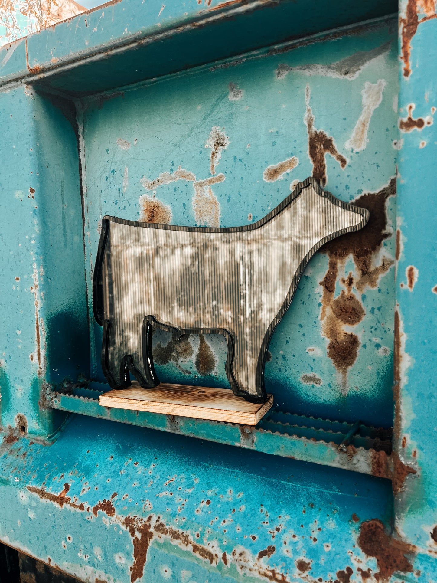 Show Steer Savers