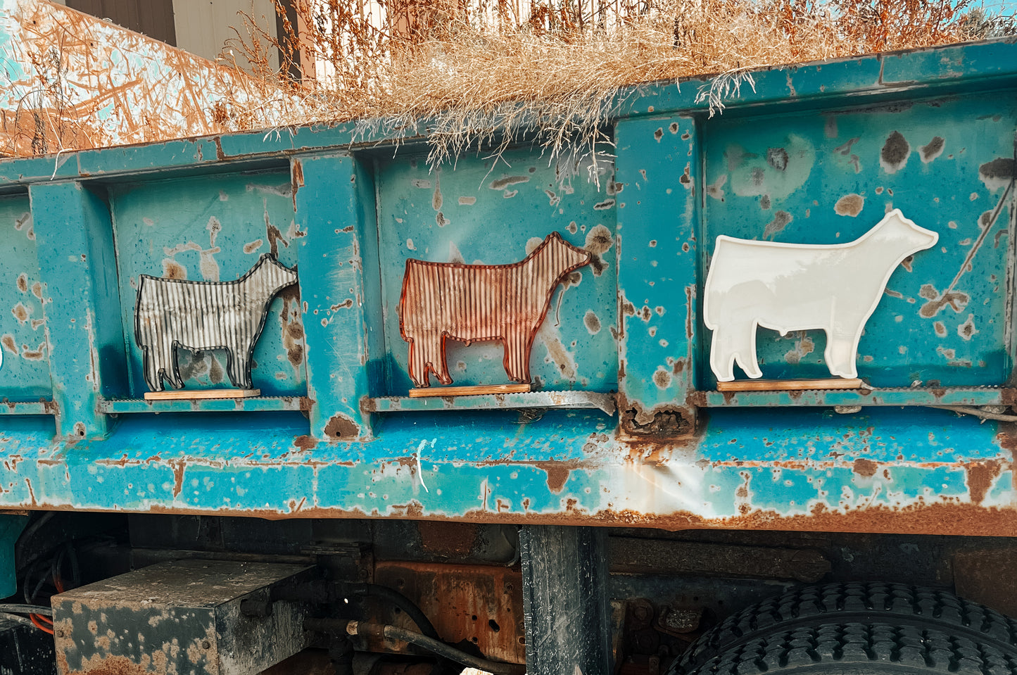 Show Steer Savers
