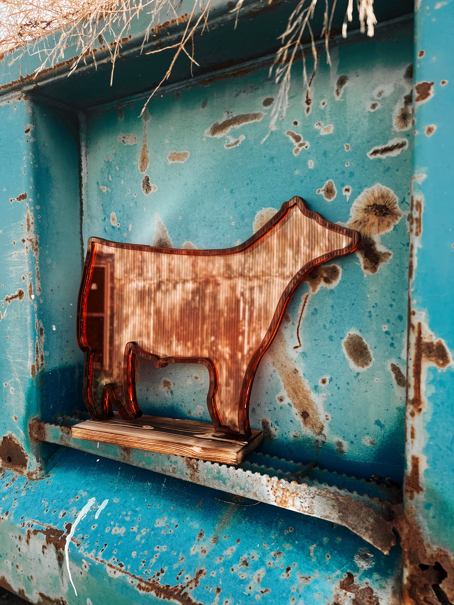 Show Steer Savers