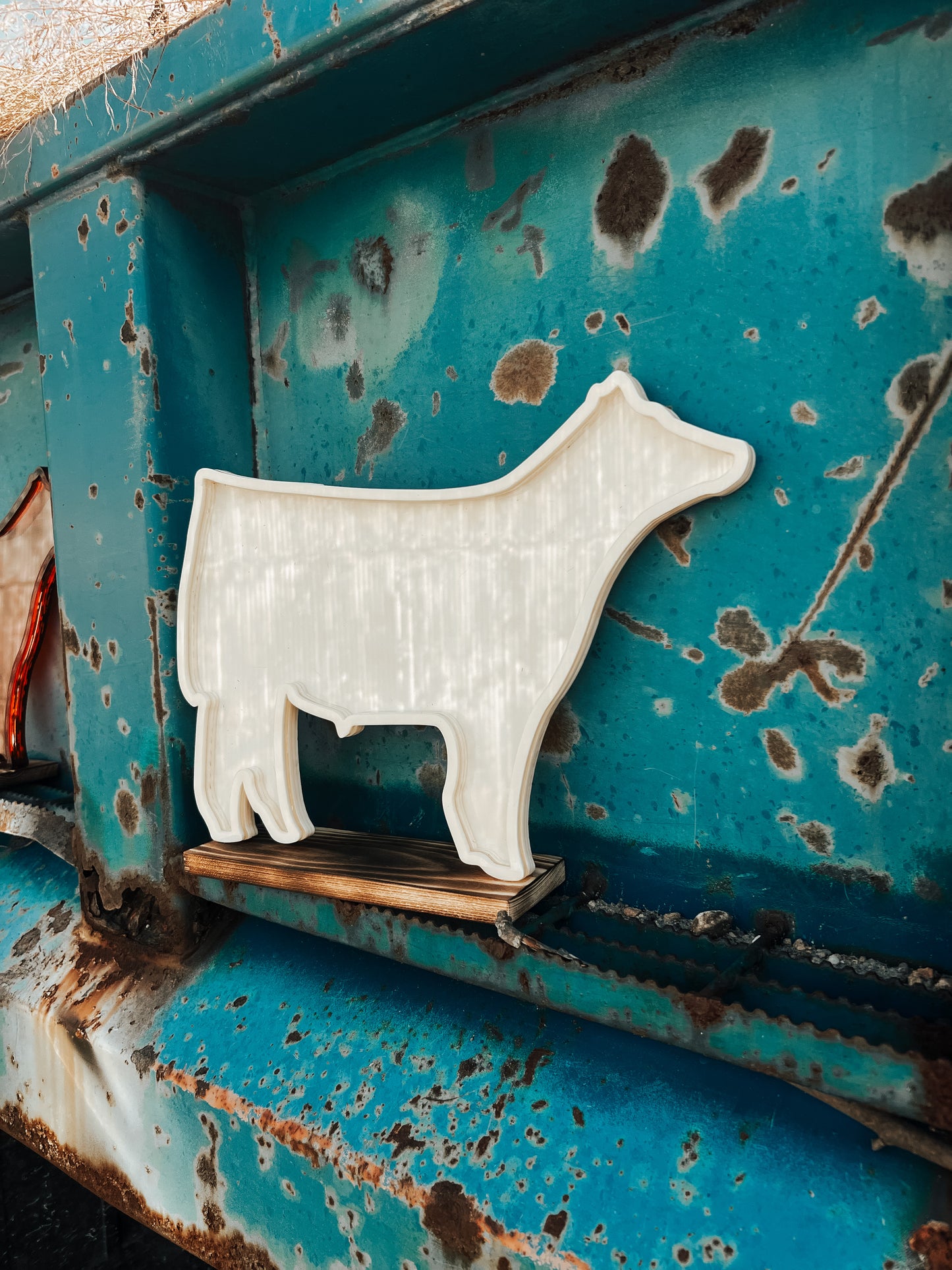 Show Steer Savers