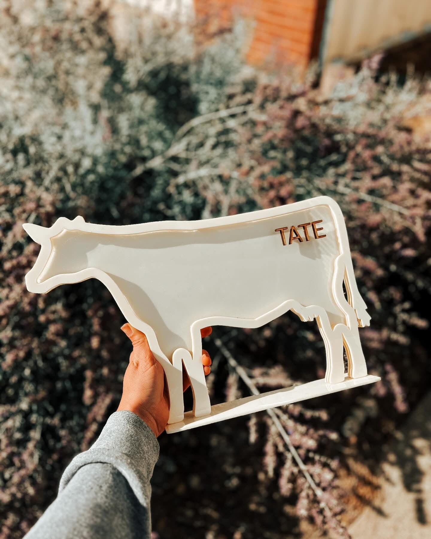 Cattle Bank