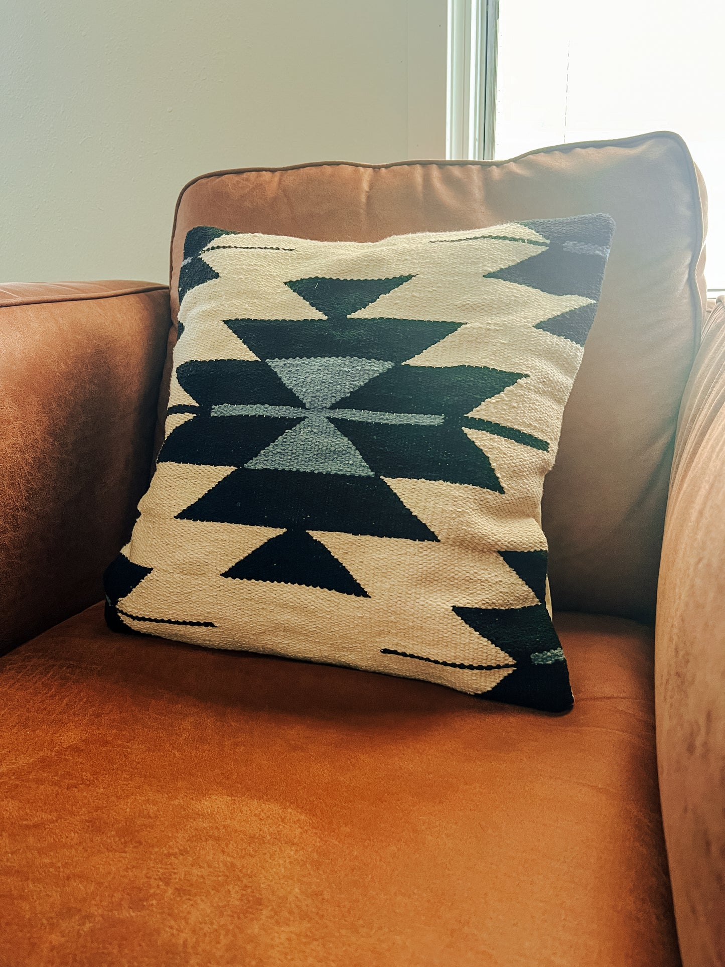 Roy Pillow Case