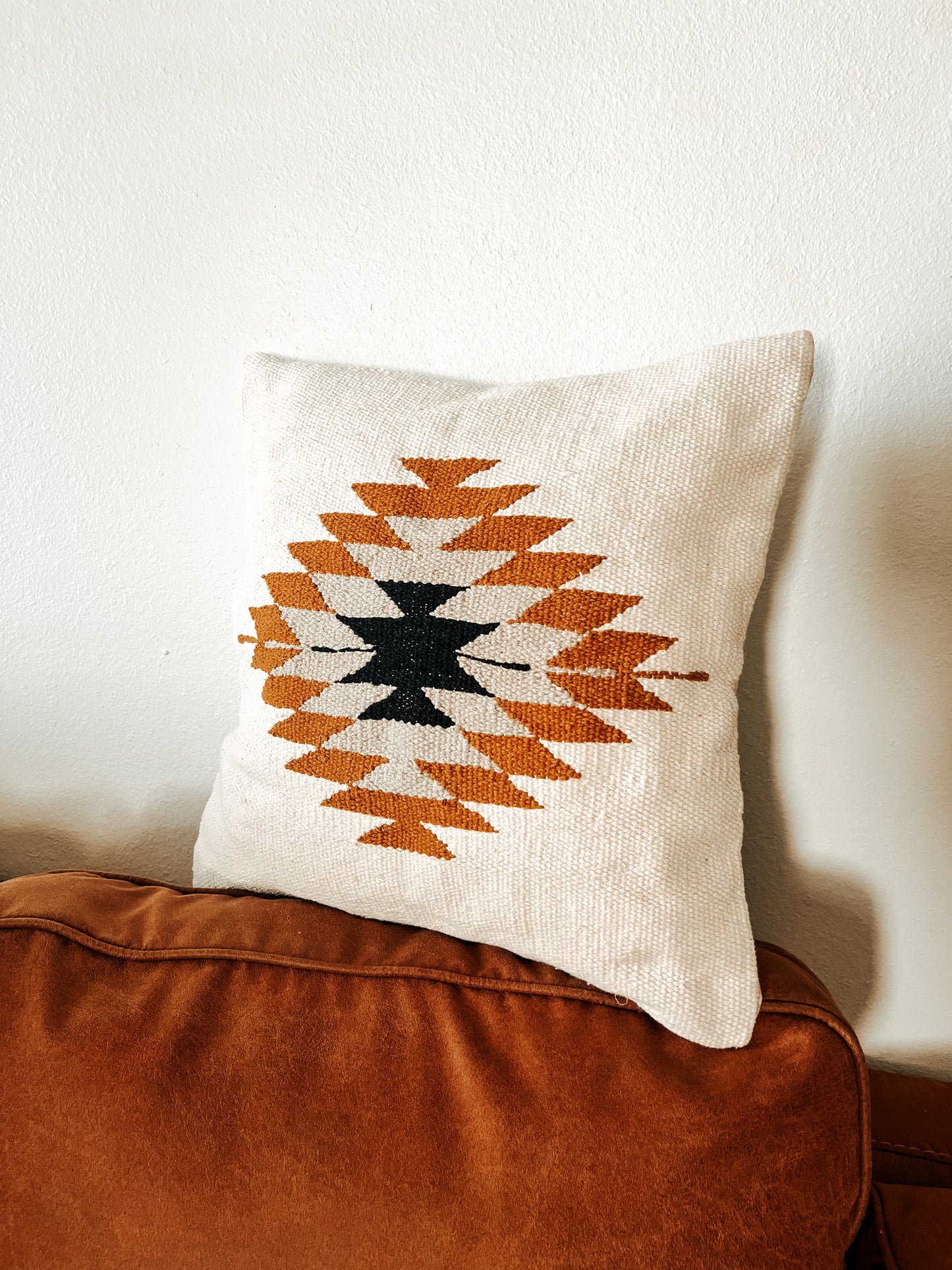 Roswell Pillow Case