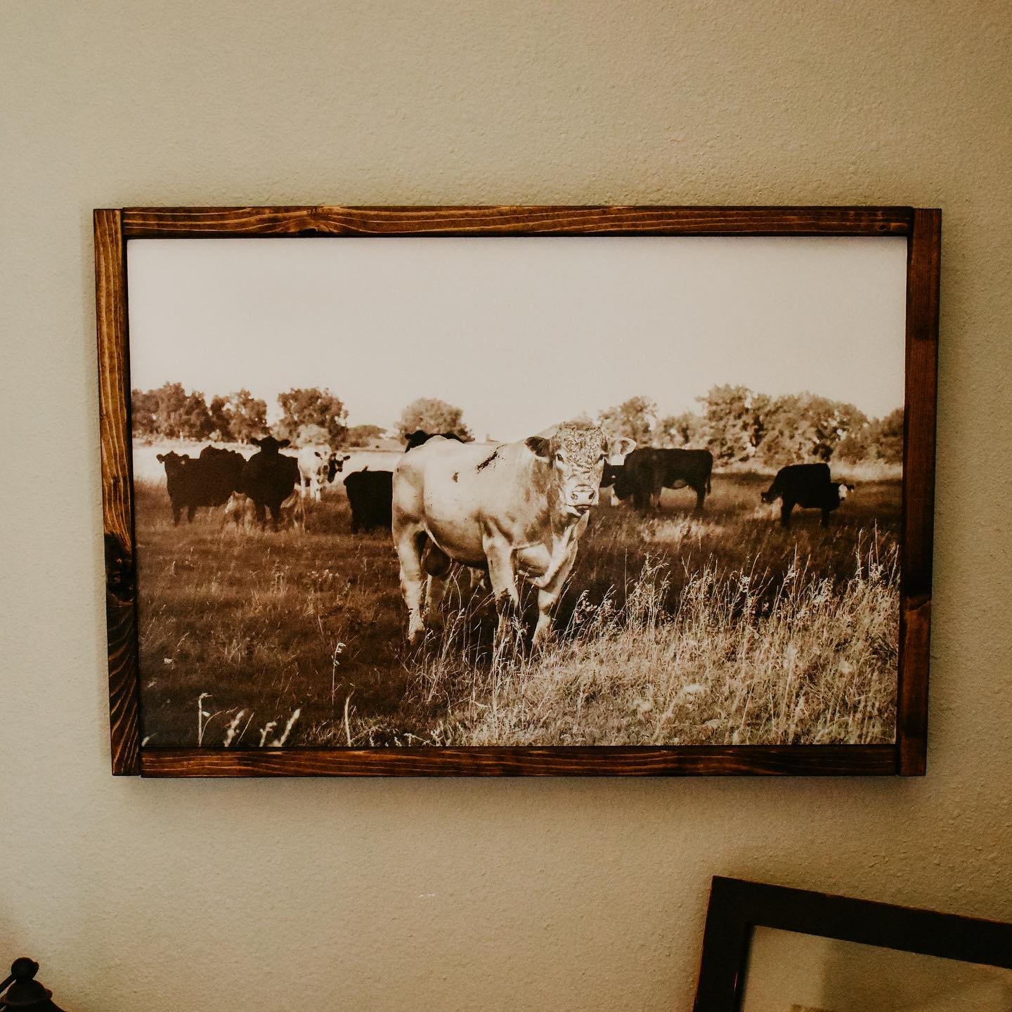 Framed Print
