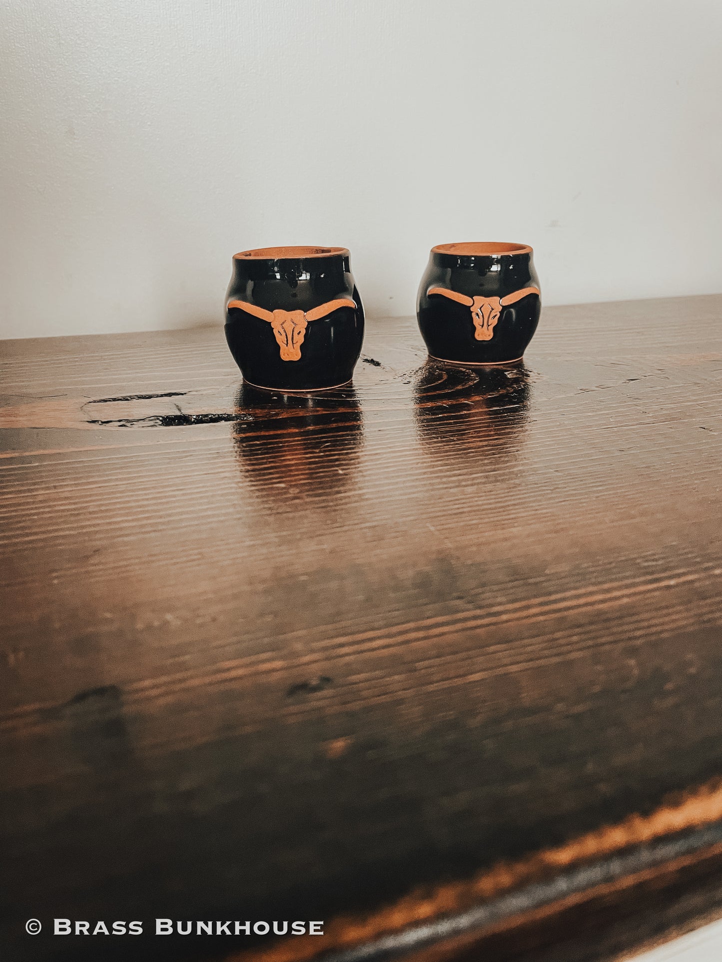 Frankoma Western Napkin Ring Set