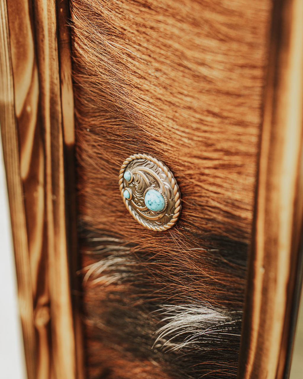 Cowhide & Conchos