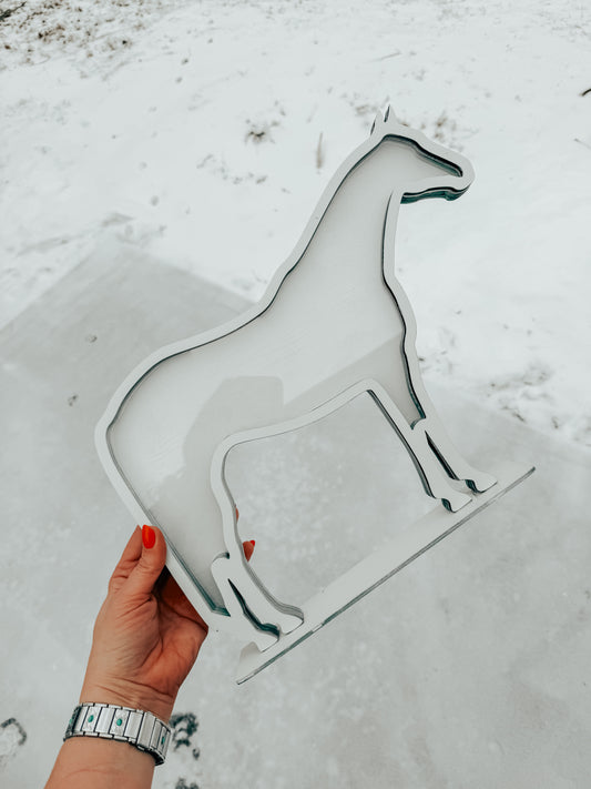 READY TO SHIP QUARTER HORSE