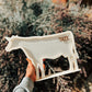 Cash Cow