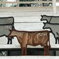 Cash Cow